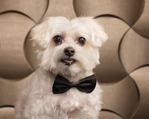 Mr Jake on his photoshoot