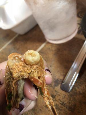 El Tazumal Restaurant Salvadoreno & Mexicano