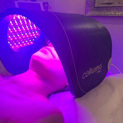 Sofia Facials and Waxing