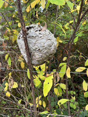 Key Peninsula Volunteer Park