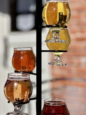 Flight of 5 ciders- awesome.