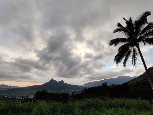 It's so cloudy that the sun is not visible this morning. We might have thunder showers today, 1-25-23.