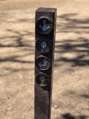 Trails on trails on trails