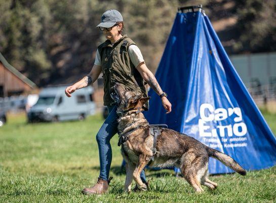 Animal Medical Center