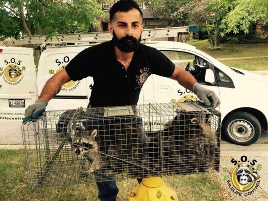 SOS Pest And Animal Control