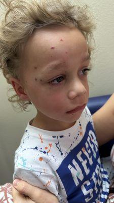 Dr. Susan Blankenship Pediatric Dentistry