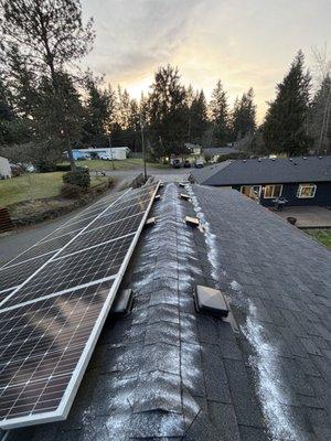 A local moss treatment in the Barberton neighborhood.