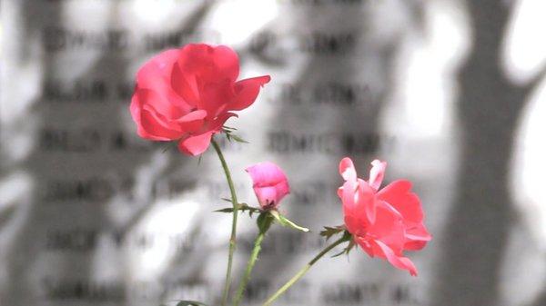 The American Freedom Garden honors veterans of the 20th/21st century.