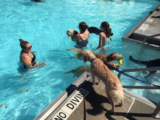 Papio Bay Aquatic Center