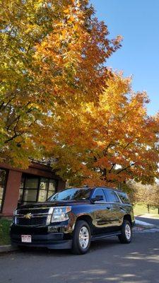 BLACK SUV All Weather
