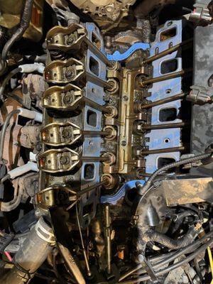 New Lower intake gaskets