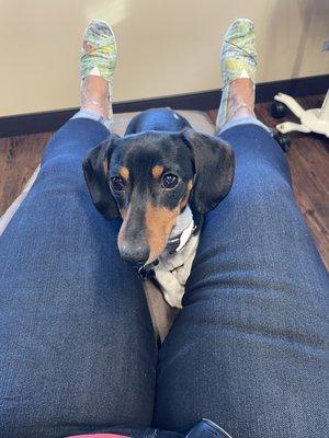 Odin, CEO of comfort care!