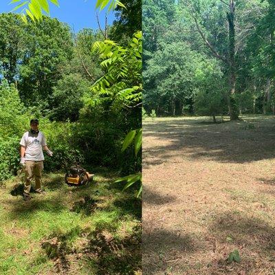Peace of Green Landscaping