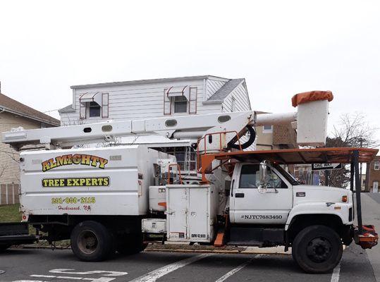 Almighty Tree Experts