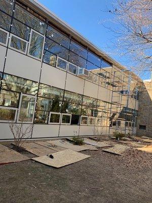 Arch Windows and Curtains