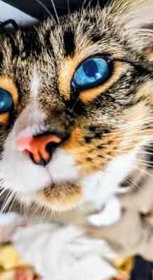 Miketin Central Boarding & Lodging Home