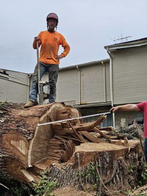 Alpha Agape Industries