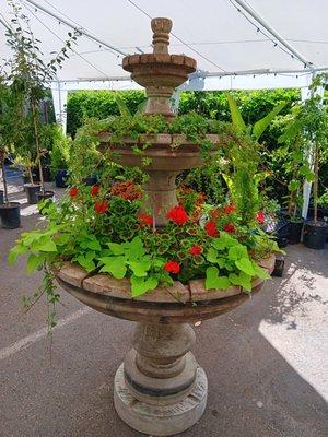 Our new fountain showcases beautiful trailing plants cascading over the edge instead of water!