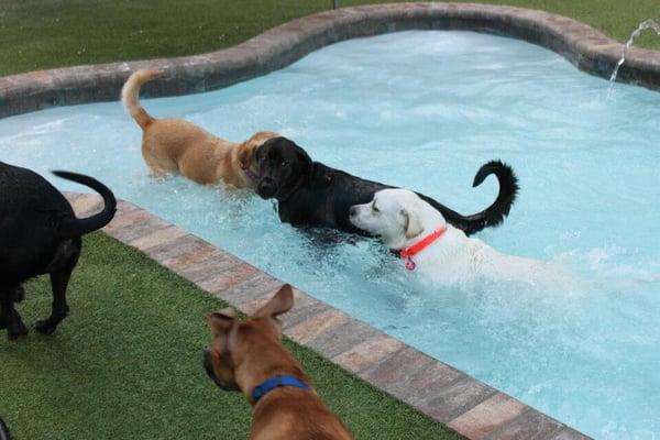 Splashing in the pool