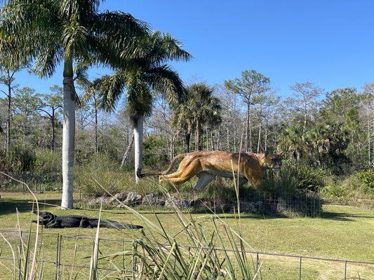 Everglades Events LLC