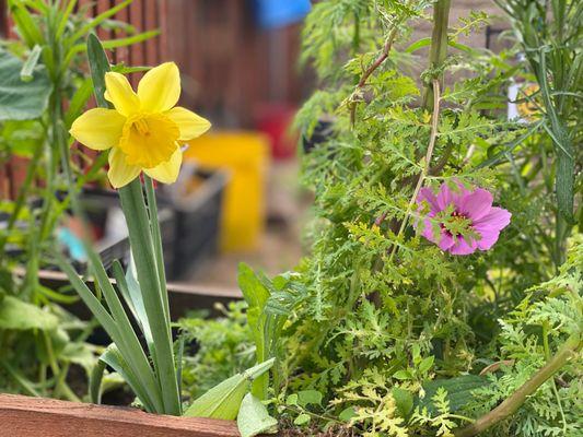 Kid Works Children's Center