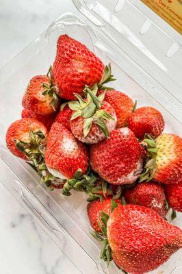 Moldy strawberries from malama in a container