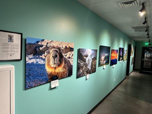 Local art is usually displayed in the hallway