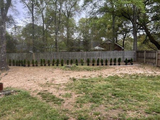 Murray's Nursery