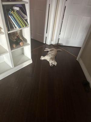 Lake City Air Conditioning Heating