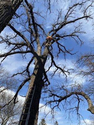 M&RG Tree Service