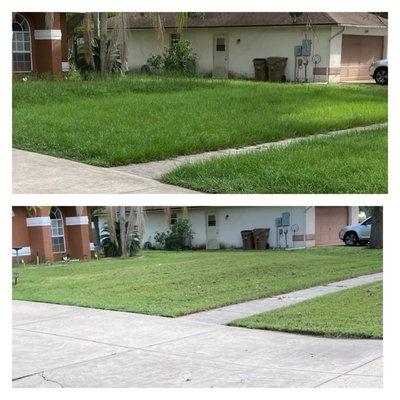 Bradford & Sons Lawn Maintenance And Tree Services