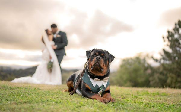 Sara & Arturo & our Pumba boy: 05.04.34, Julian, CA