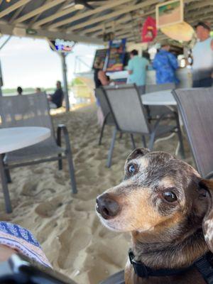 Rolph 's Warf Marina