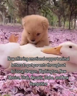 Aliviar Mental Health