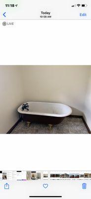 Alpha & Omega Painting Contractor