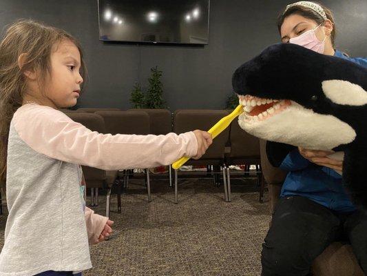 Dentist visit at school.