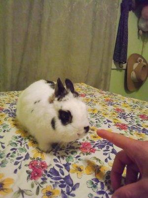 Feathered and Furry Foto Farm