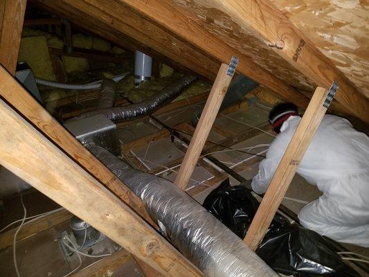 Attic Cleaning