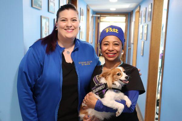 Budding Smiles of Beaver