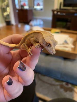 Fins Feathers Paws & Claws