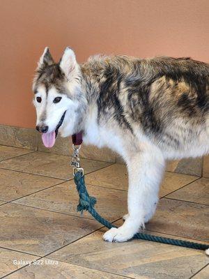 Atwater Veterinary Center