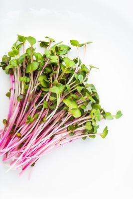 Mother Natures Glory