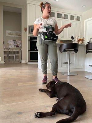 High Tail Canine Specialists