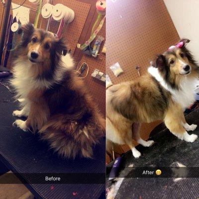 Saraland Pet Grooming