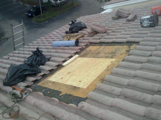 Lee County Roof Repair