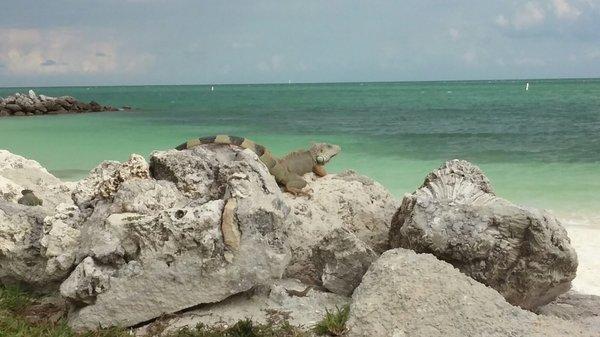 Sea Isle Condominium Association