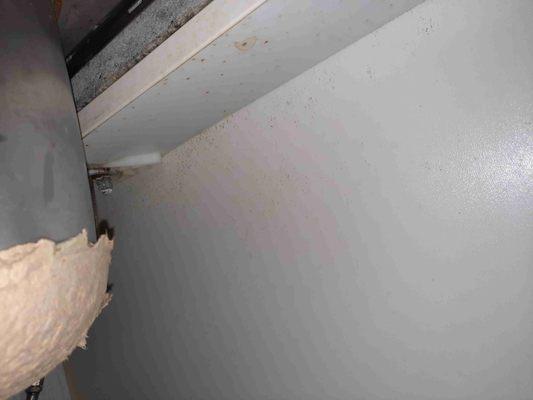 Regency Inn & Suites