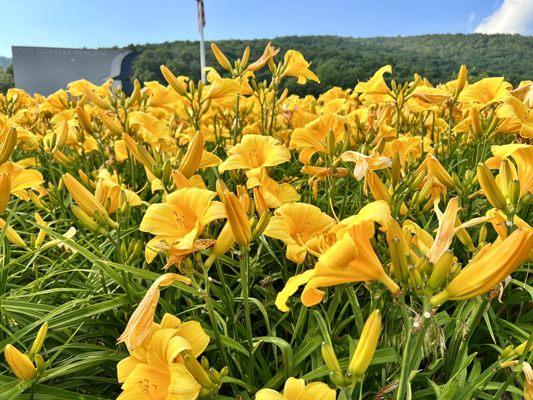 Memorial in background