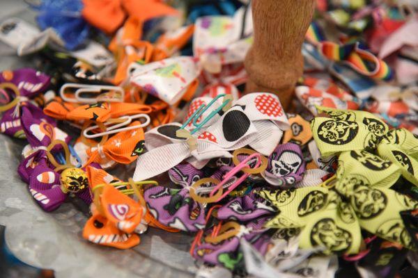 Anchored Paws Grooming & Retail