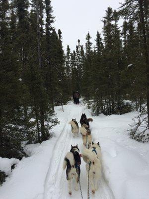 Wintergreen Dogsled Lodge